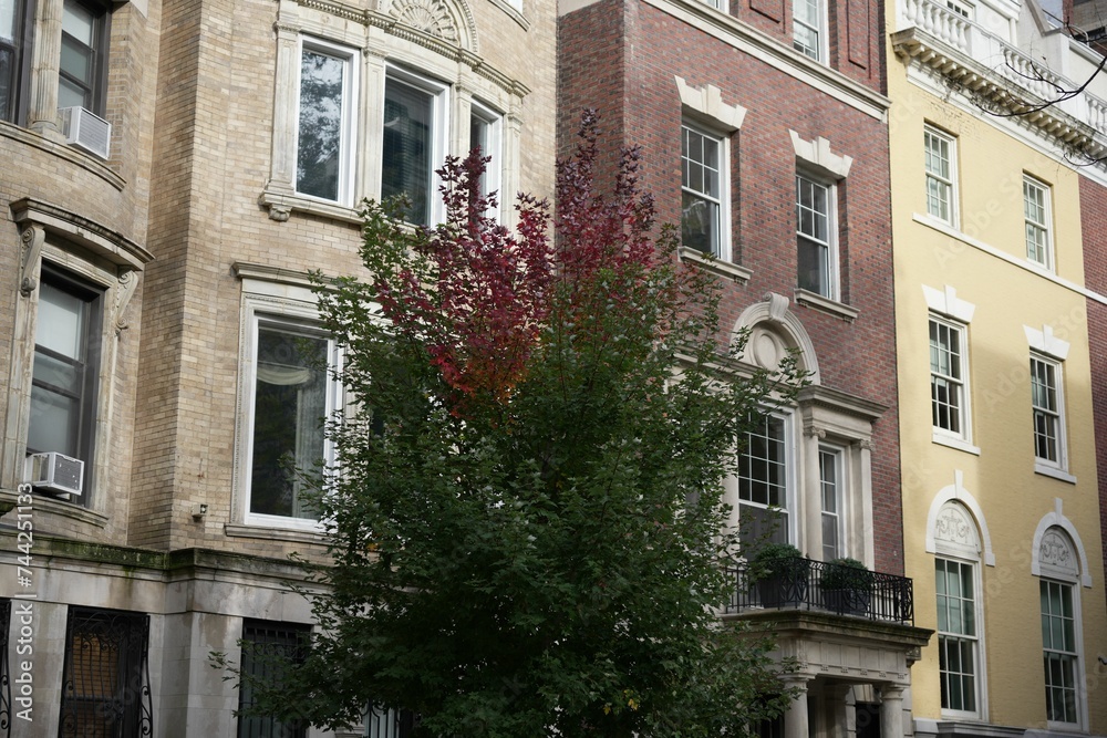 a row of houses with trees outside a large building with many windows