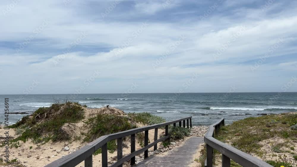 Beach walkway onto the beach through coastal dune plants
