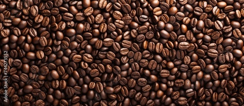 A top view photo showcasing a generous amount of coffee beans arranged on a table  capturing the essence of coffee bean background.
