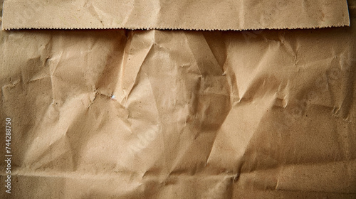 Wallpaper Mural Brown paper bag texture, crumpled, wrinkled. Torontodigital.ca