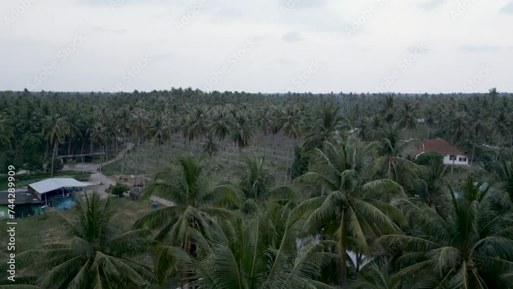 Birds eye view of houses with palm trees around them