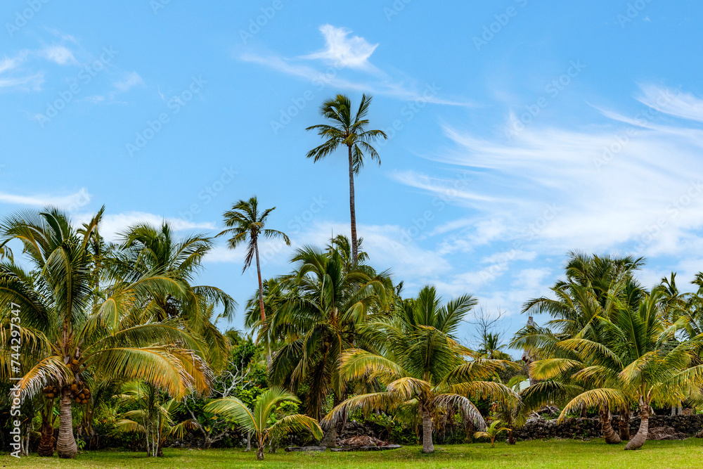 The Isle of Pines is an island in the archipelago of New Caledonia,