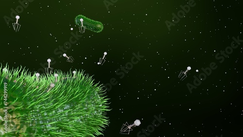 3d rendering of bacteriophages that infect and destroy bacteria. Phages scan for specific receptors on bacteria, once attached, they inject their genetic material into the bacterial cell