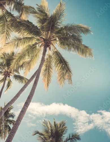 dreamy vintage-style shot capturing palm trees against a clear blue sky retro vacation tropical escape wanderlust relaxation