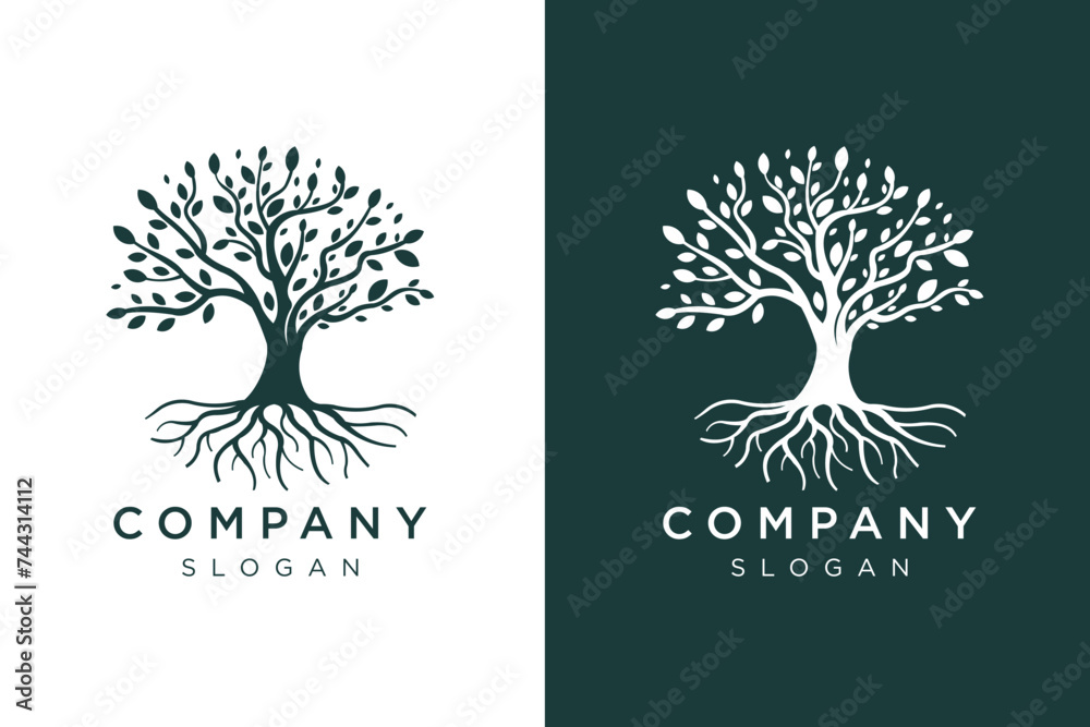 Obraz premium tree and lush roots logo