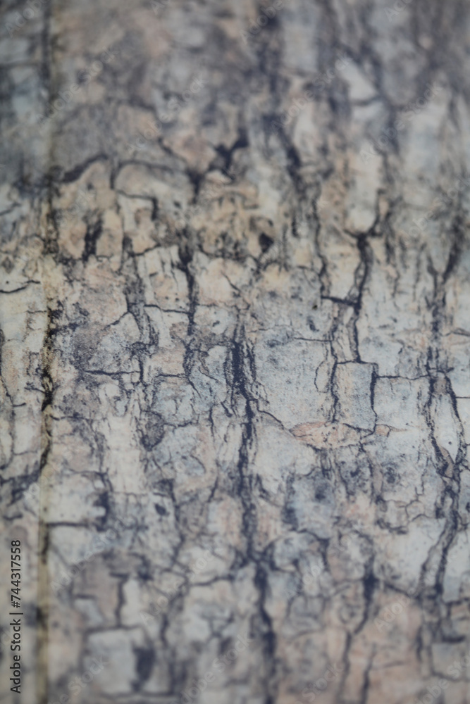 Chinese granite table abstract close up abstract background high quality big size print Chinese granite table abstract close up abstract background high quality big size print