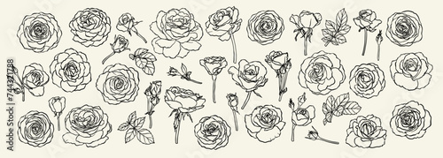 set of black and white outline roses, buds and leaves. Floral contour isolated on white background. design greeting card and invitation of the wedding, birthday, Valentine s Day, mother s day, holiday