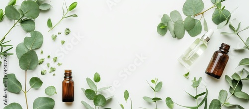 Lush Green Eucalyptus Leaves Background for Natural Wellness and Aromatherapy Concepts