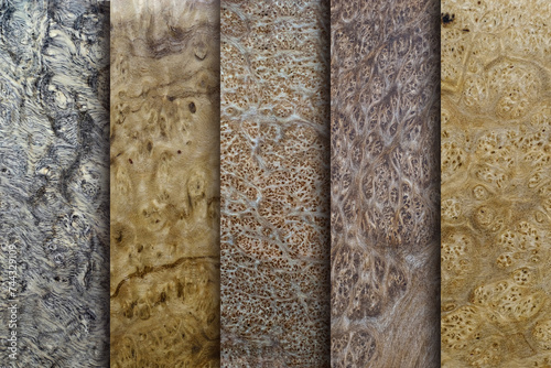 Natural Burma TABAG burl wood striped is a wooden beautiful pattern for background