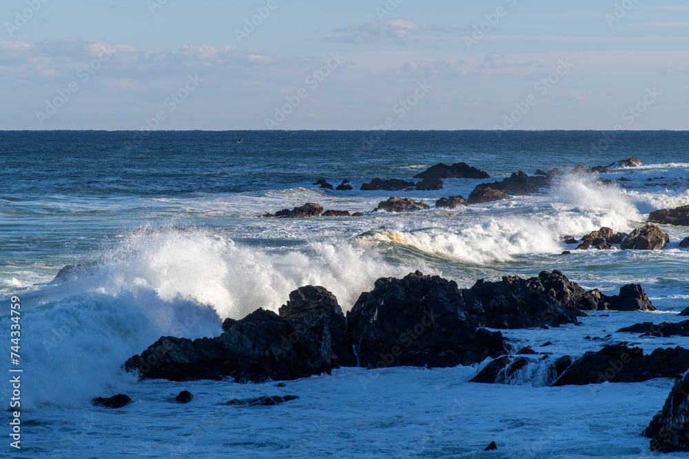View of the surf in winter sea