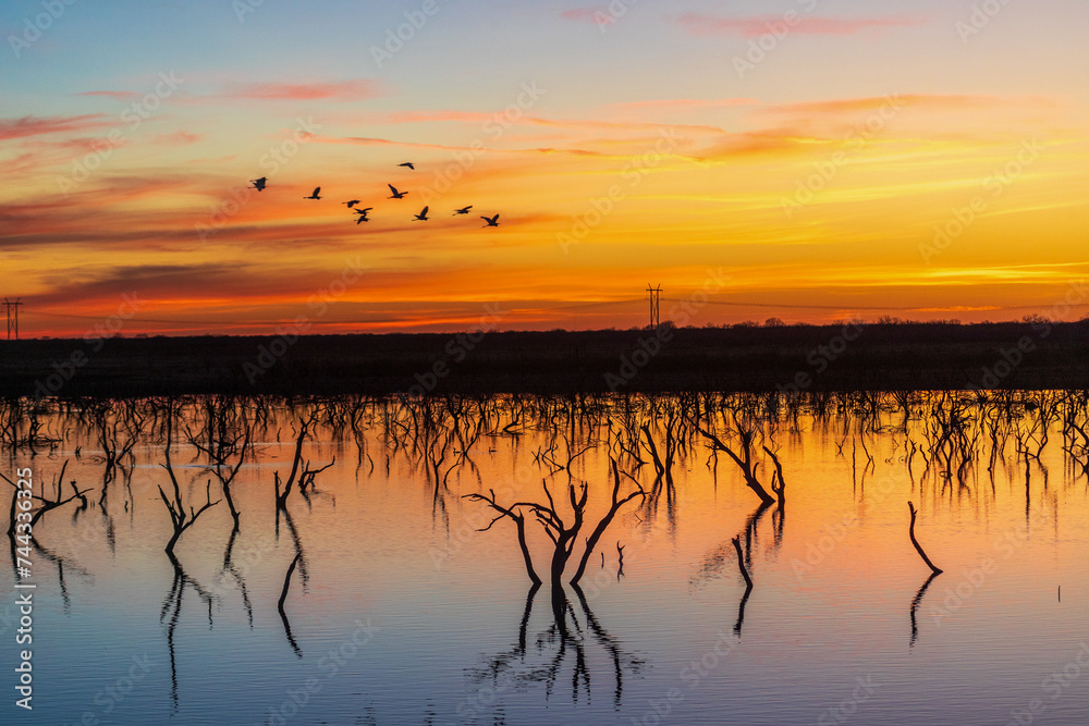 Sunset by lake, Birds in the horizon
