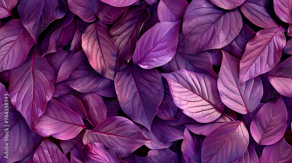 purple leaves background purple leaves background