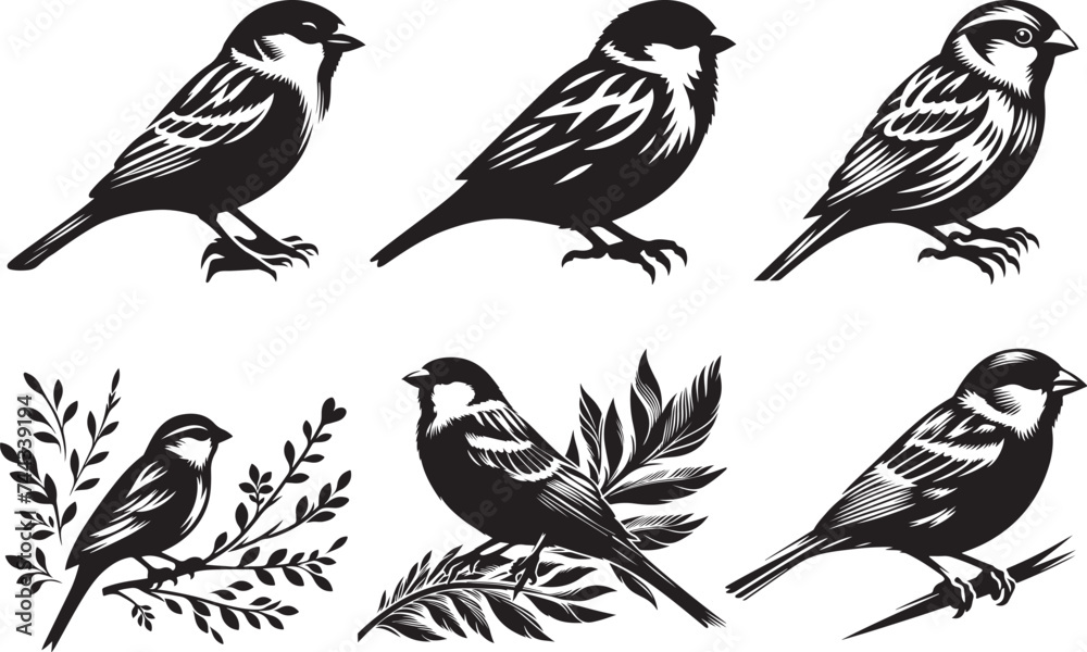 collection of birds