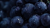Dark Bunch of Grapes Close-Up with Water Droplets in Low Light, Isolated on a Black Background