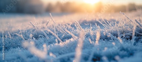 A serene winter morning: sun shining on frosty grass in a peaceful meadow