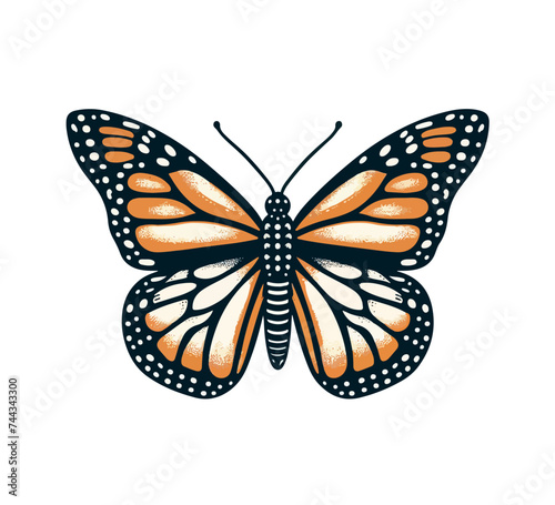 Monarch Butterfly Hand Drawn vector illustration © AriaMuhammads