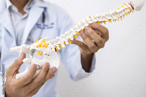 Orthopedic doctor or surgeon use spine anatomy model or mock up for patient education about back pain on white background in examination room.Spinal stenosis or backache.White uniform or medical gown. photo