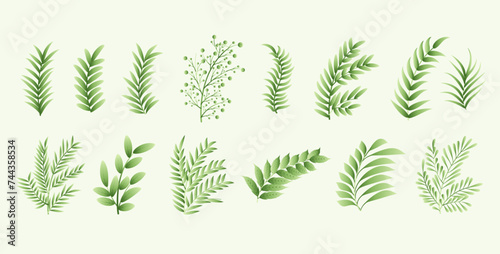 collection of botanical natural leaves element white background design