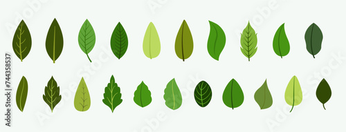 eye catching pack of organic leaves banner design