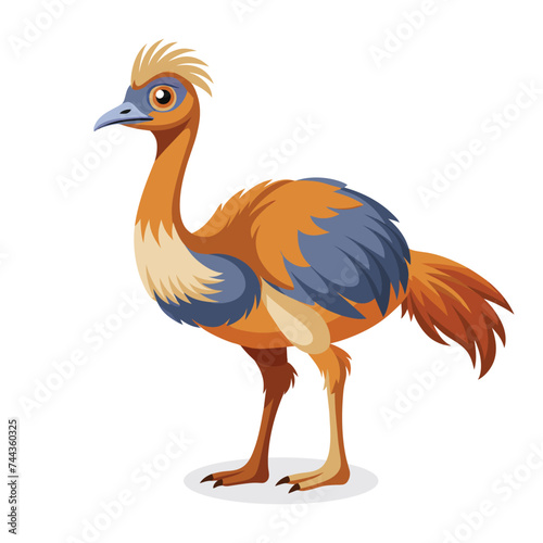  Emu flat Vector illustration on white background