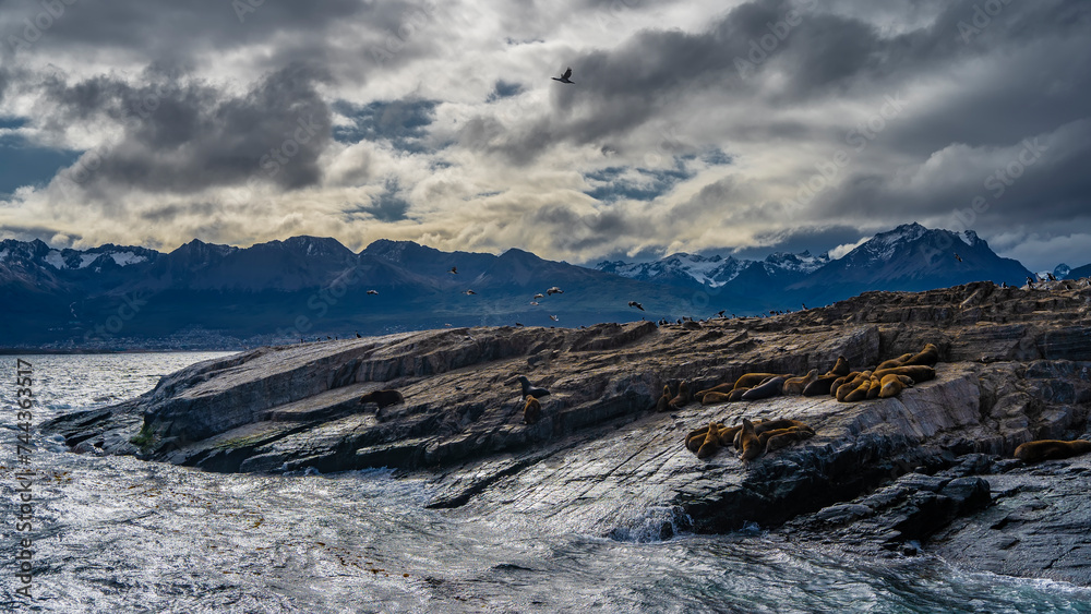 Sea lions are resting on a small rocky island in the Beagle Channel. The waves of the turquoise ocean are beating against the cliffs. Cormorants fly. A mountain range of the Andes against a cloudy sky