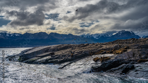 Sea lions are resting on a small rocky island in the Beagle Channel. The waves of the turquoise ocean are beating against the cliffs. Cormorants fly. A mountain range of the Andes against a cloudy sky