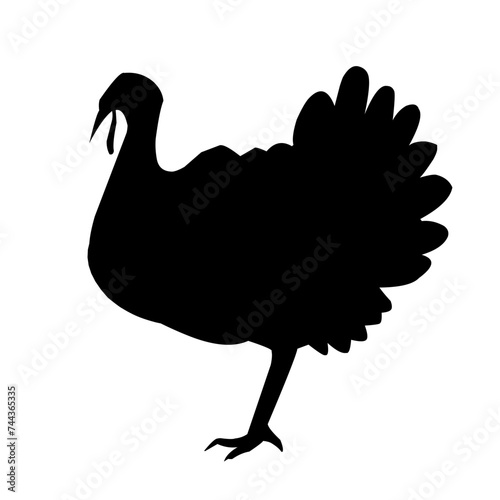 Turkey Bird Silhouette 