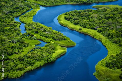 Amazon rainforest view from above.