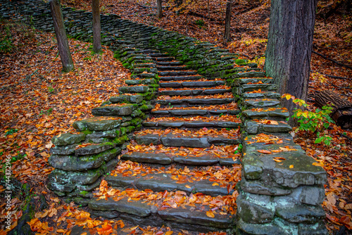Letchworth park stairs