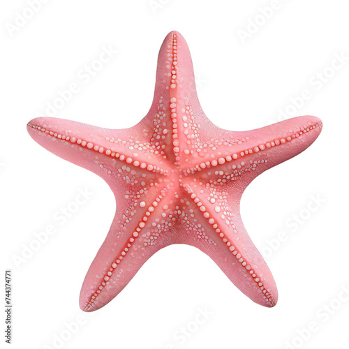 starfish isolated on white background