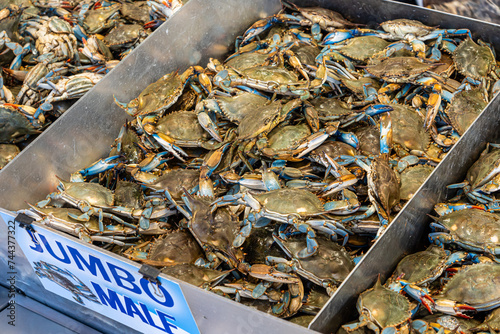 Pile of fresh blue crab in fish market at the Whaf, Washignton D.C.