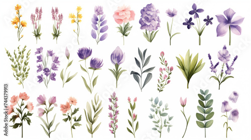 Set of Beautiful Hand Drawn Watercolor Clip Art Arrangements with Flowers, Wildflowers, Spring and Summer Floral, Leaves, Branches. Botanical Plant Illustration. Pastel Colors.