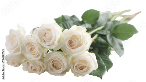 Bouquet of White Roses PNG File of Isolated Cutout Object - Generative AI  