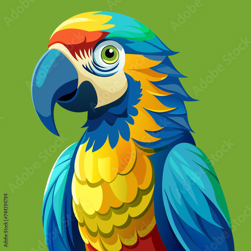 Perrot bird animal pet vector illustration cartoon pretty cute
 photo