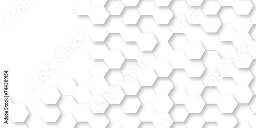 Fototapeta Naklejka Na Ścianę i Meble -  Abstract 3d background with hexagons pattern with hexagonal white and gray technology line paper background. Hexagonal vector grid tile and mosaic structure mess cell. white and gray hexagon.