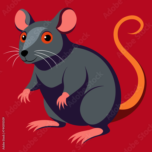 Rat animal pet vector illustration draw cartoon pretty cute  © Gleb