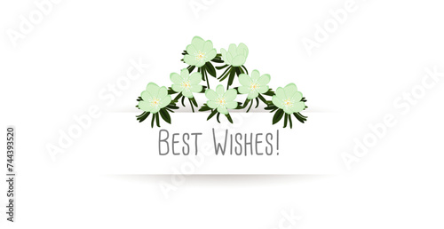 Best Wishes! with pastel green flowers. Greeting card to say goodbye to employees or friends