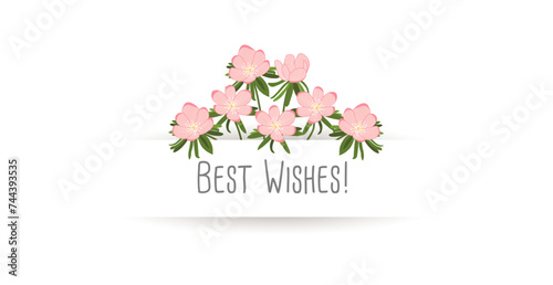 Best Wishes! with pastel pink flowers. Greeting card to say goodbye to employees or friends