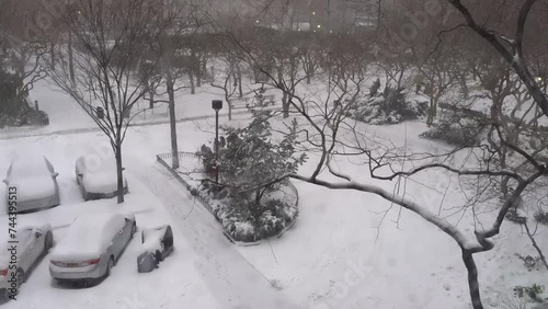 time lapse winter in the park (ID: 744395513)