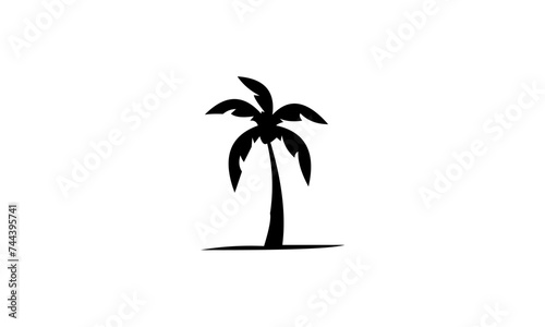 palm tree silhouette