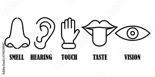 Five human senses icon set. Symbol of smell, hearing, touch, taste and vision.EPS 10 photo