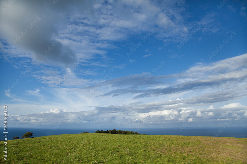 Green hilltop with ocean horizon and big sky Green hilltop with ocean horizon and big sky