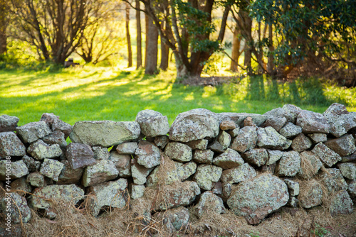 English looking stone fence into green paddock photo
