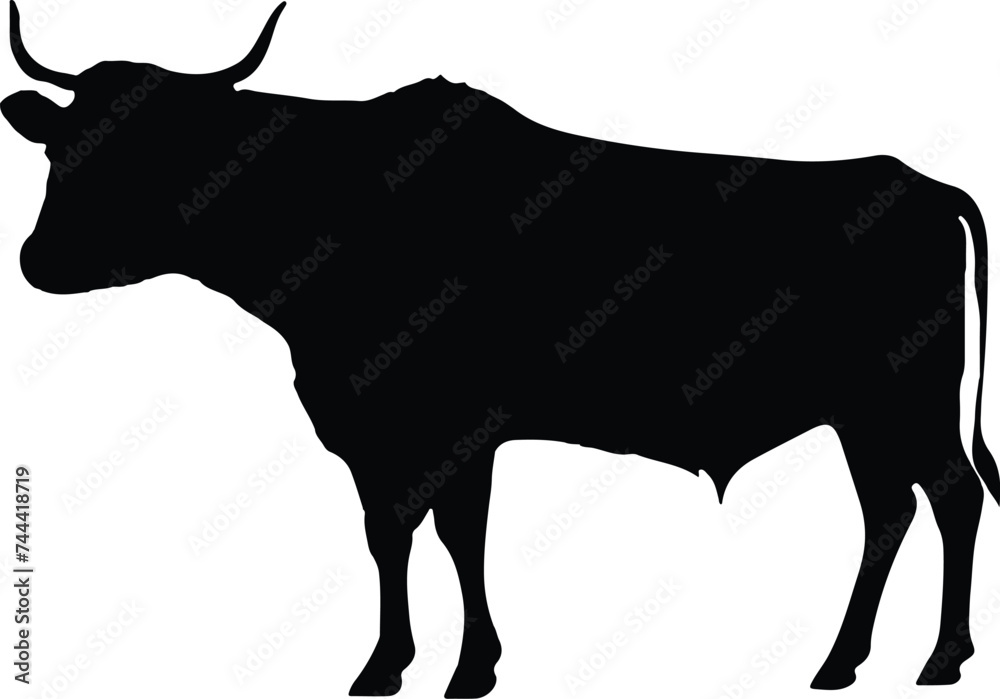 Cow Silhouette illustration Vector White Background Cow Silhouette illustration Vector White Background