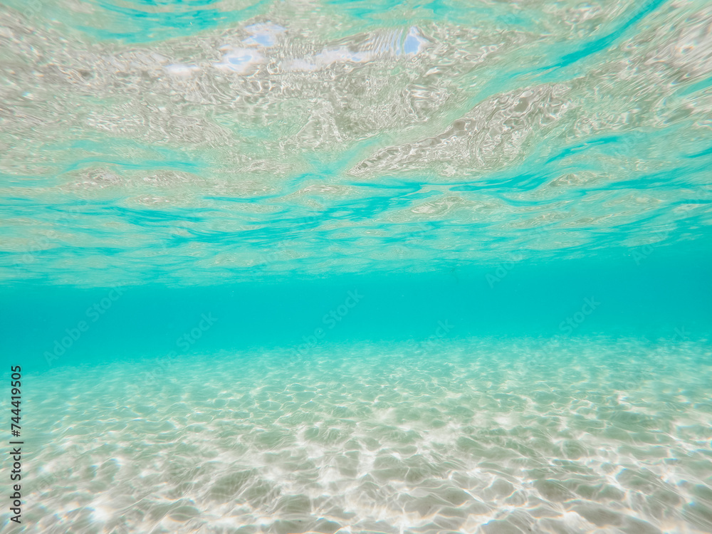 Underwater shot in clear ocean