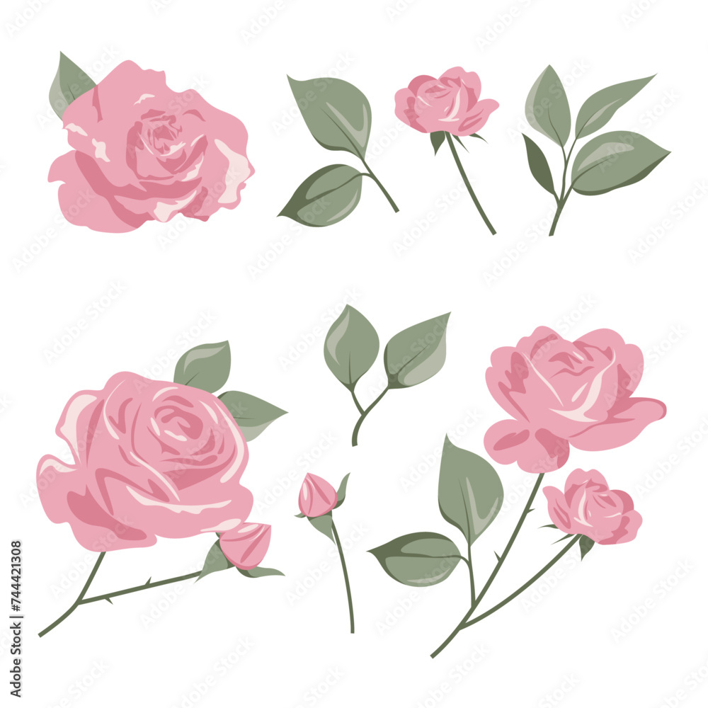 Fototapeta premium Pink rose clipart for graphic resources. Beautiful flower on isolated white background. Vector illustration. Design for wedding invitation, postcard. botanical painting