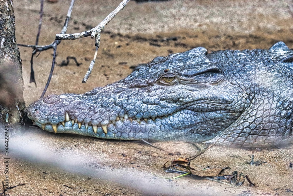Fototapeta premium Port Douglas, Queensland, Australia
