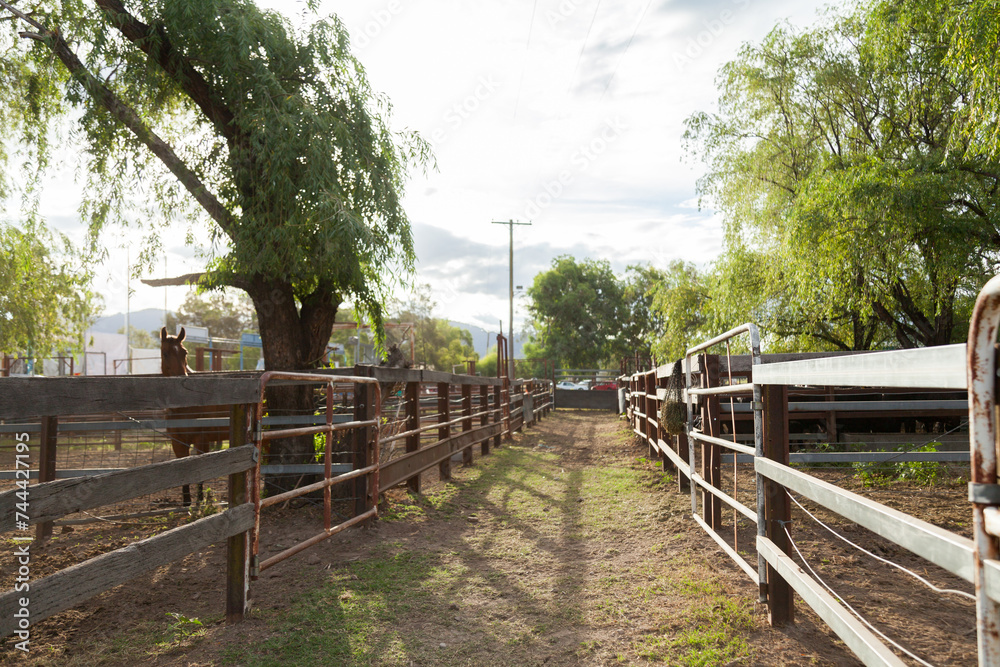 Fences at Murrurundi showground in afternoon light Fences at Murrurundi showground in afternoon light