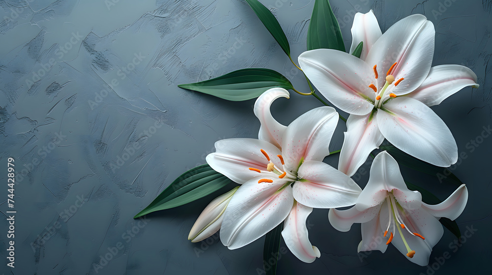 A white Lily background with leaves and petals, a beautiful floral arrangement.