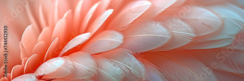  A bird's feather of color peach fuzz.